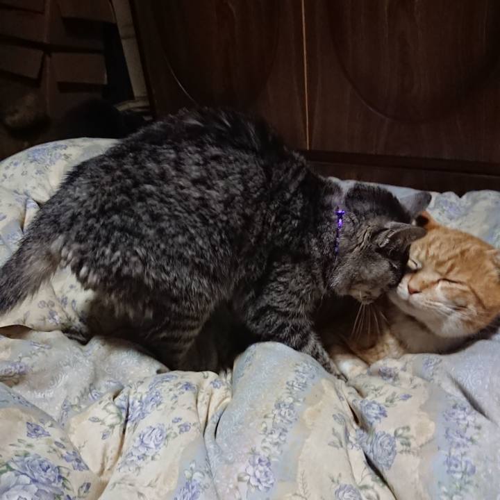 2413ef42 78b9 47fb 9339 976ba32b109a 1579781300985