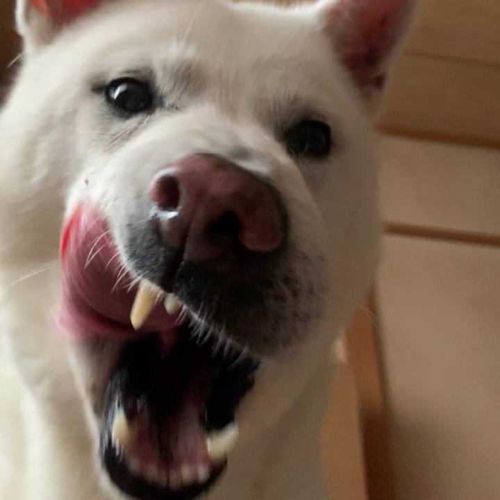 2413fa6c 7991 42f4 8abb dcb1c14cfc8b 1563397153644