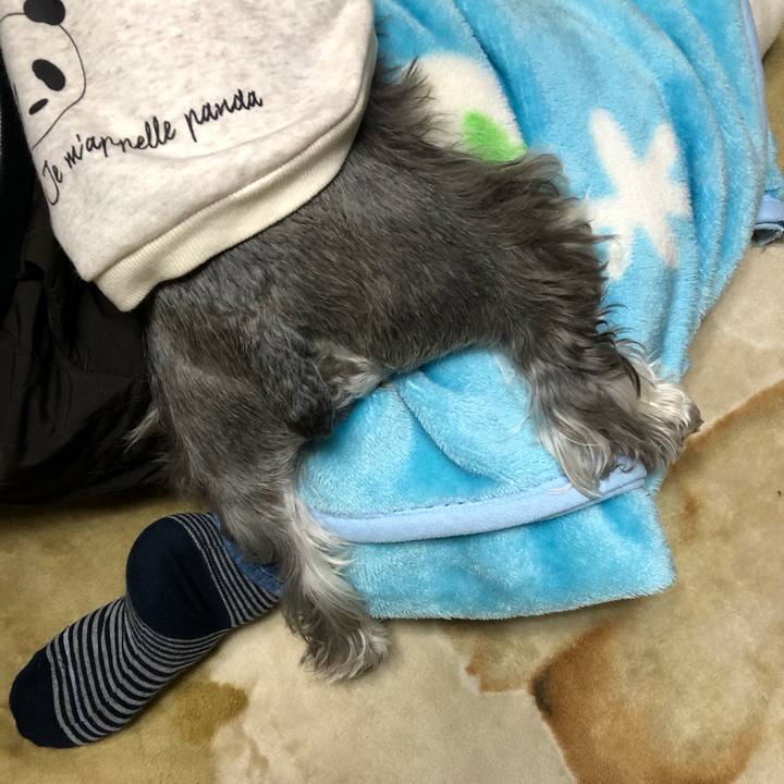 24140277 4dd7 49ef 9d20 58fabf7cee4f 1549201091203