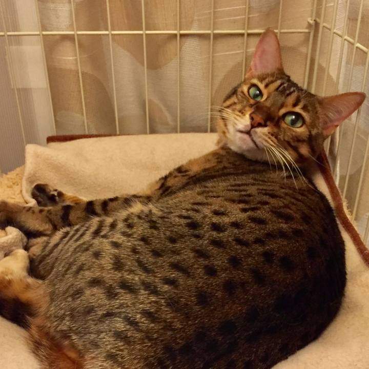 24140d05 78b4 4a4e bf9b c494ff6c8751 1540940629288