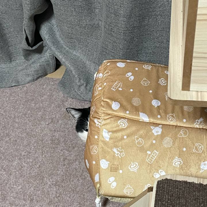 24143ff3 9af6 4a19 be50 30cda7772be6 1742918797370