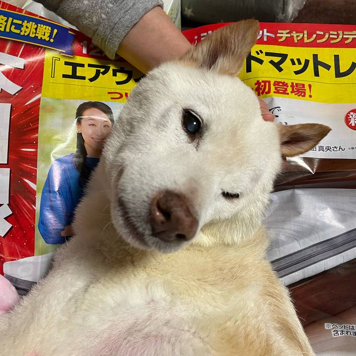 24145d29 11aa 4fd2 a5ea f3fe1f3318d0 1670906808175