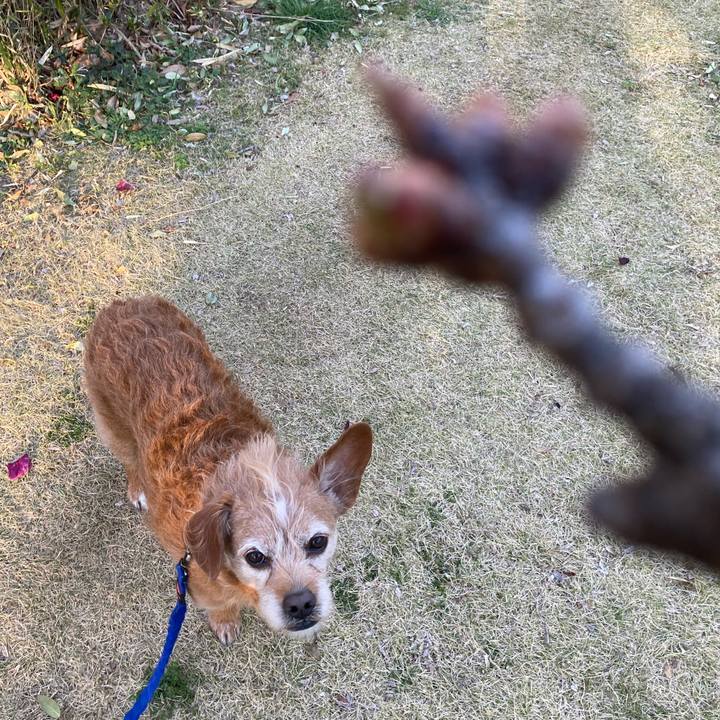 2414c03f 399f 4e39 9080 d3cbfc9496ec 1711014931057