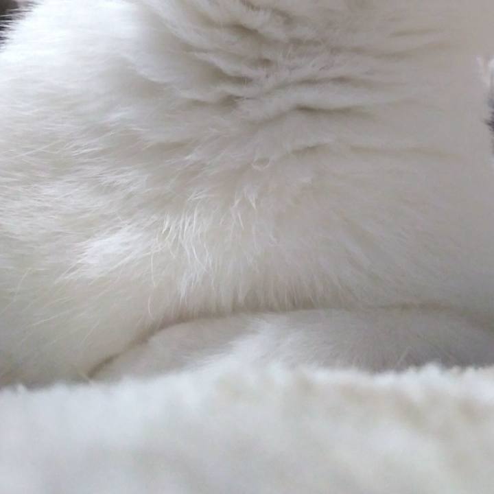 2414c2f9 10d8 4877 aef6 4720f50f1ebf 1549968689509