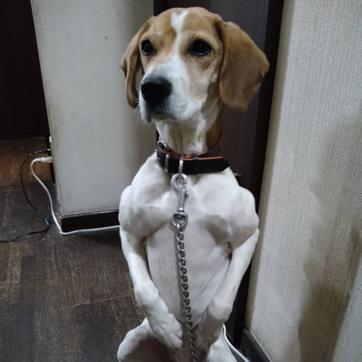 2414c61e 387b 4ac2 8c77 ec4ecb653467 1641816453236