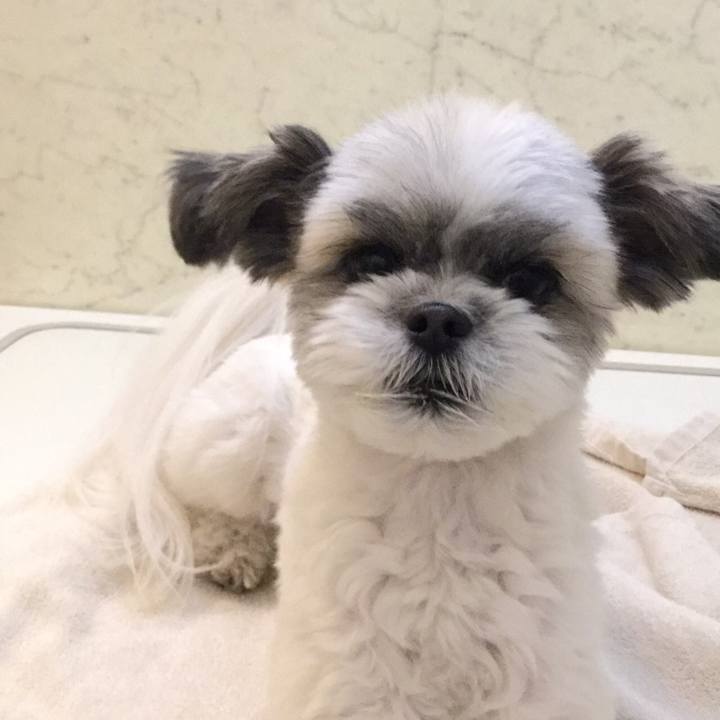 2414c6a9 6339 477d b4f4 a219d4d74699 1516132717682