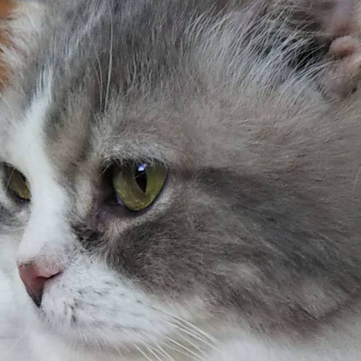 2414fbda 79af 48b8 a330 5d197f5585e2 1624796826137