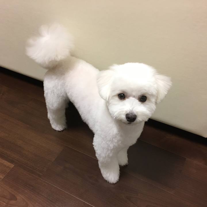 241508dd 8e8c 4563 9f5e 1ff920a9376d 1517483007788