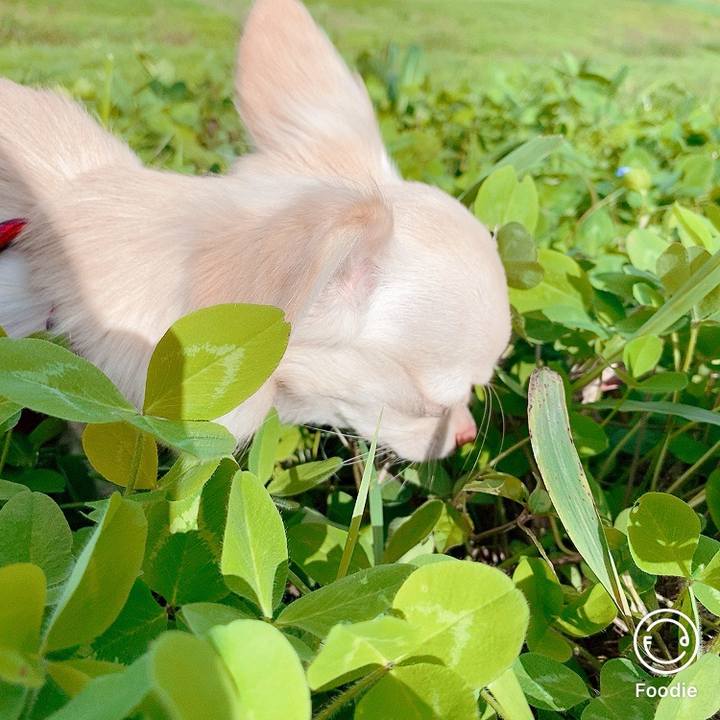 241530fb d236 4964 93f4 e34cda41ffea 1603514688965