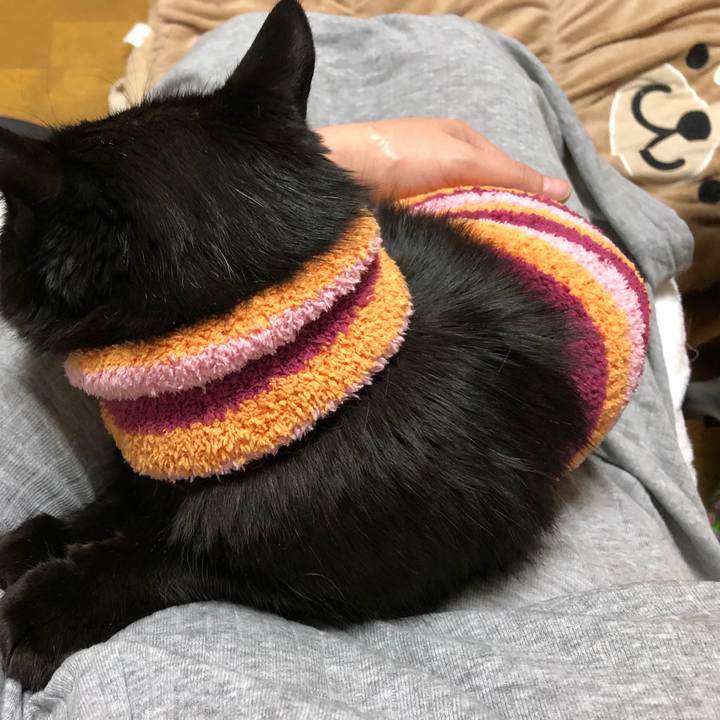 241533b1 5474 4f69 beed e24a1c5278a2 1587993385505