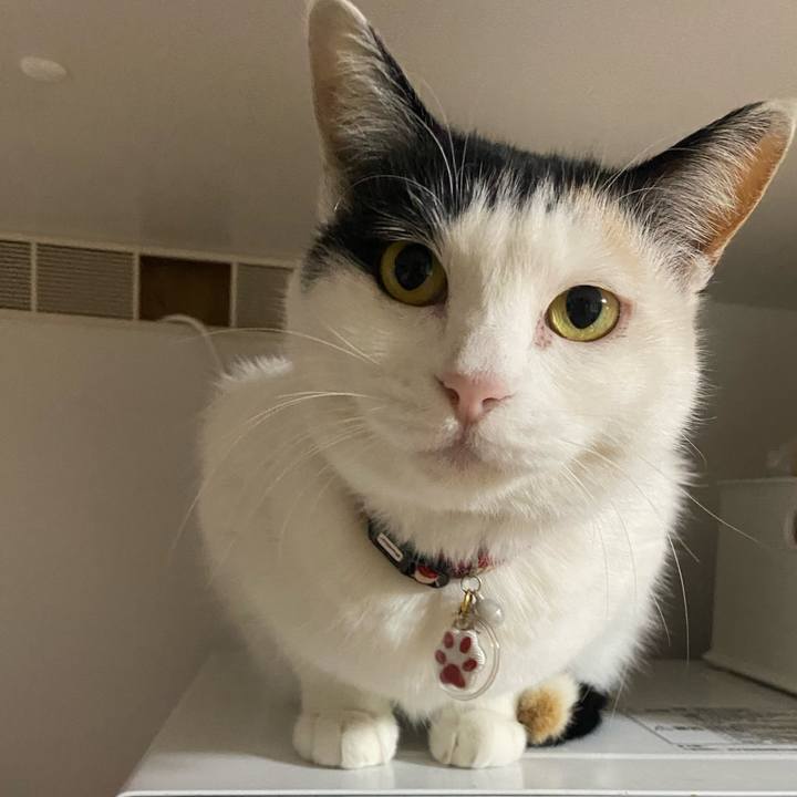 241567b5 732e 4328 ba8e 67e1e68f771c 1643639494081