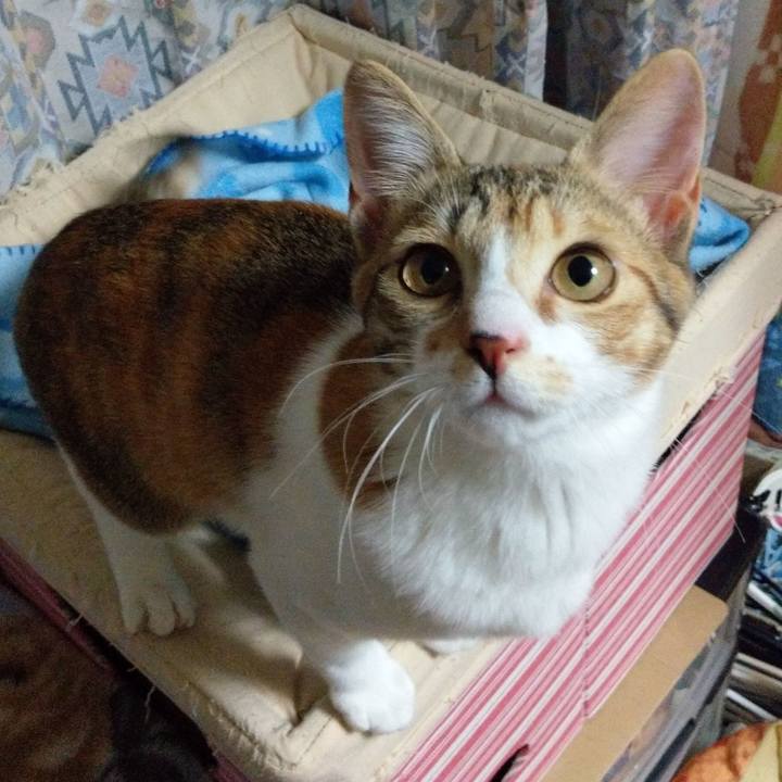 24160579 0022 4384 ae79 b108f974ce8a 1548847295004