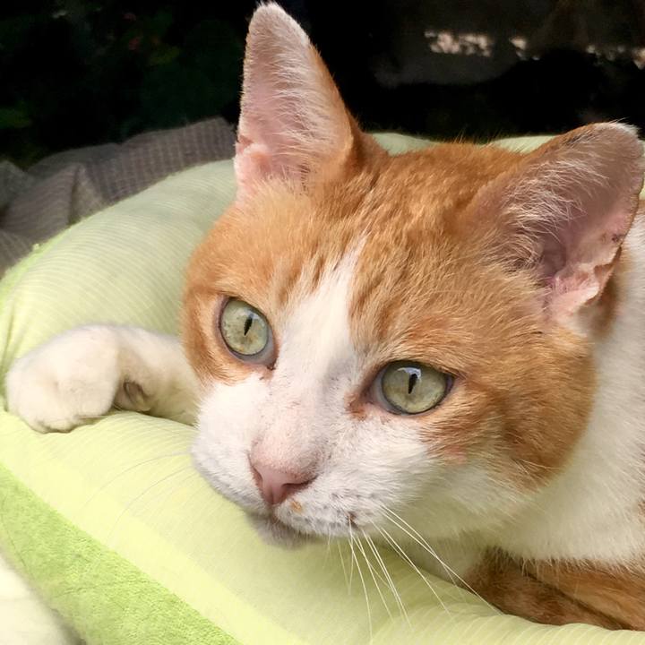 241613b7 1b6d 42d9 86ab ad36902009b7 1565752408608