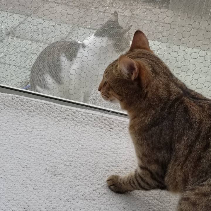 24165b6b c067 42c0 8d0f 0824b9476904 1692029192267