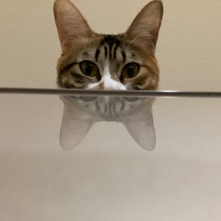 2416a3a2 15fa 417a 858f e462e3962173 1672683479356