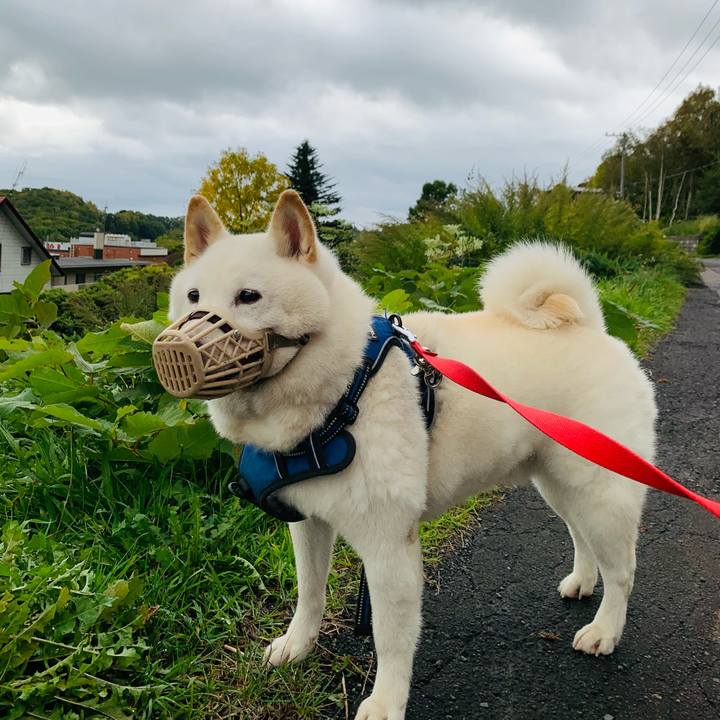 2416eb07 eac0 4d06 8507 e845496bbd14 1632433255561