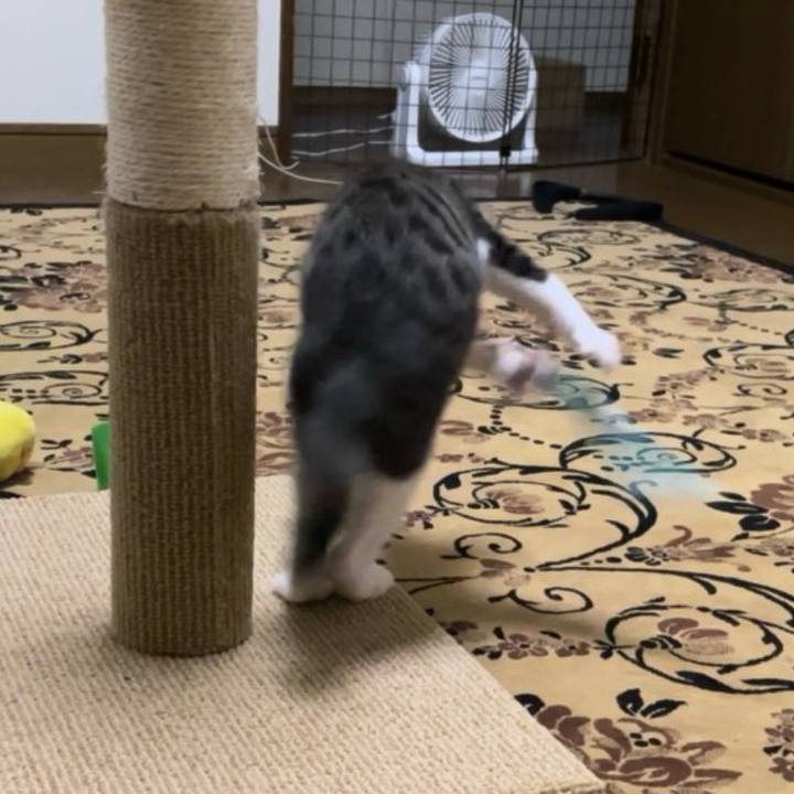 2416eda0 998c 4d1c be43 07f8ff2c699f 1722823462898