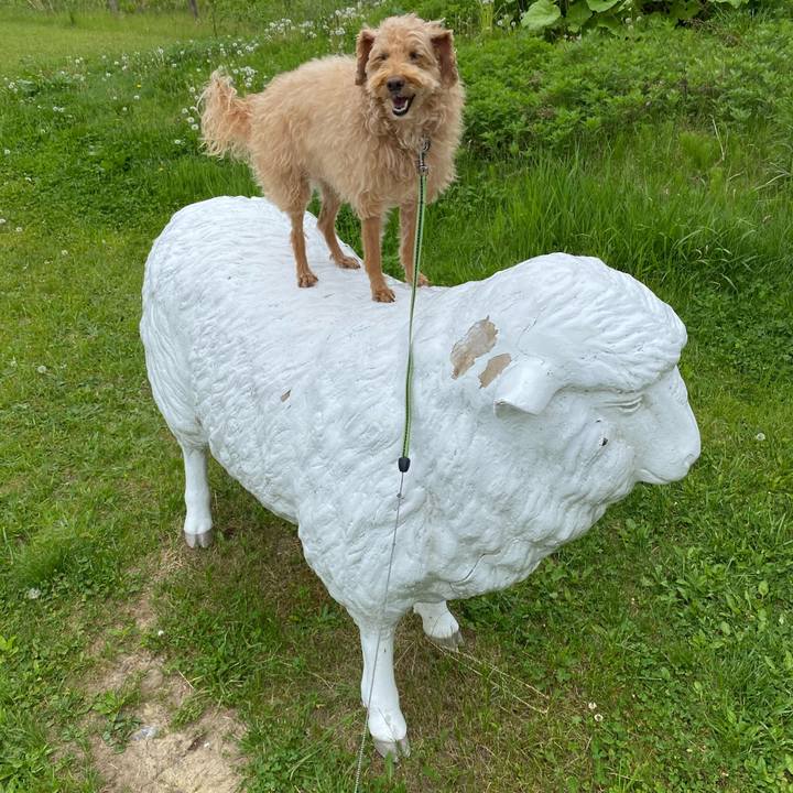 24171fc7 a20f 419c b291 98299f4df4ff 1653770314566