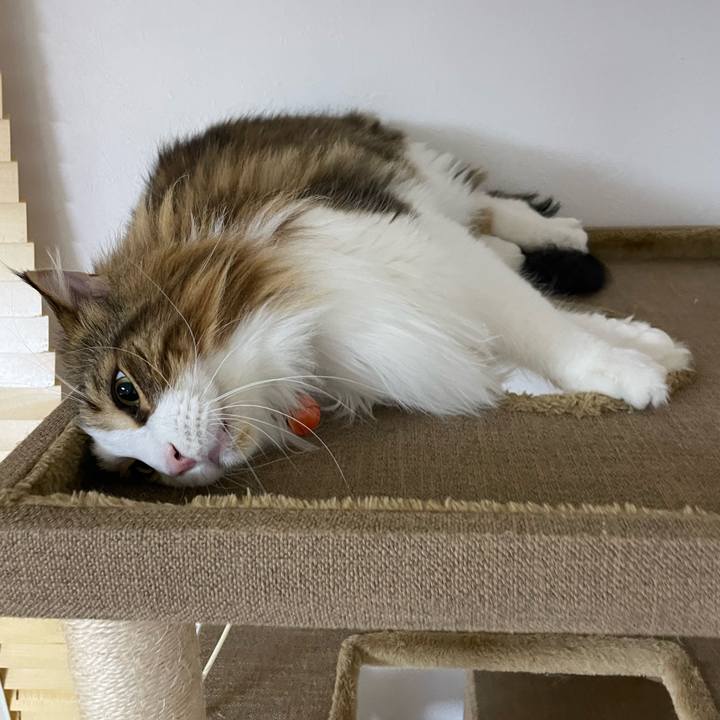 24172262 8874 4391 94a6 55032f88a708 1698694216312