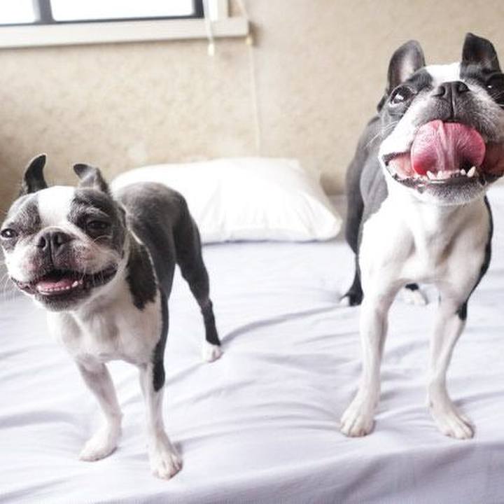 24172cf7 0858 4e31 b80c 102b49322932 1530158312282