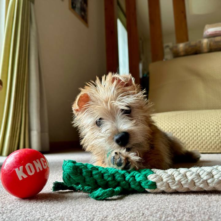 2417639b 8b7c 4225 9429 09339df75fd1 1704463191828