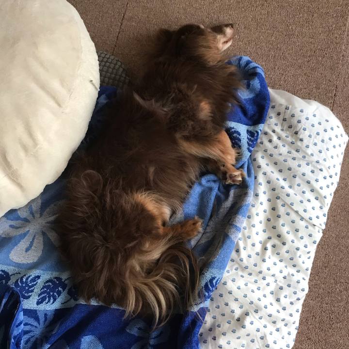 24179edb a9d6 464c a0d3 a94915a1c964 1595741361533