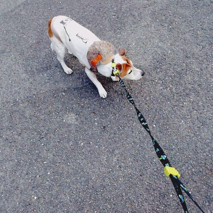 2417c71e cd7c 42e1 8b64 57e9764384ba 1518849148078