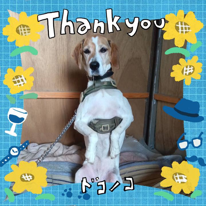 2417e5ed 9ed4 44e4 9de0 4a849946a118 1717730868287