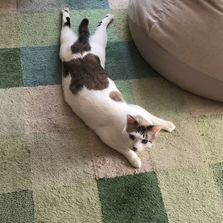 2417fc8b 4d7c 4c67 9001 da6376f7f865 1577760516596