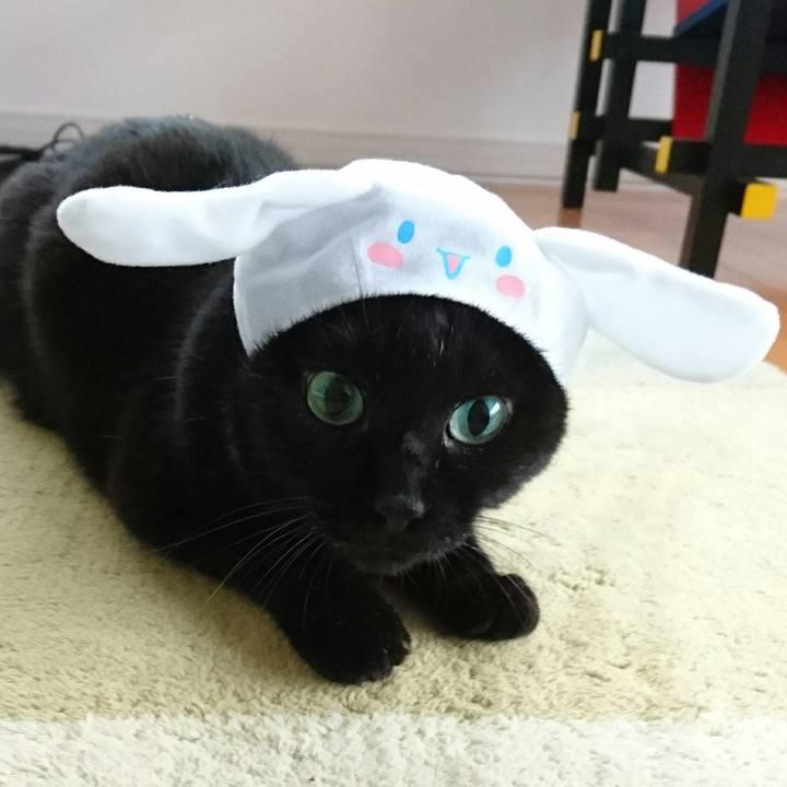 24181346 84b9 40c6 aa6f d397f8f1ee04 1508648317251