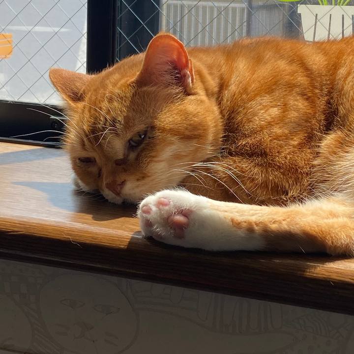 24181759 86ef 41f0 8aff 849f79c7876d 1587697884165