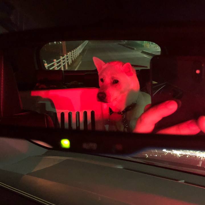 241825a2 43be 4005 98f7 17c7120e0477 1581504095221