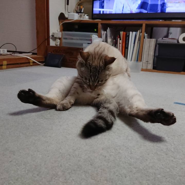 2418725e d8dc 465d bb00 14f2b501d1fe 1565529248814