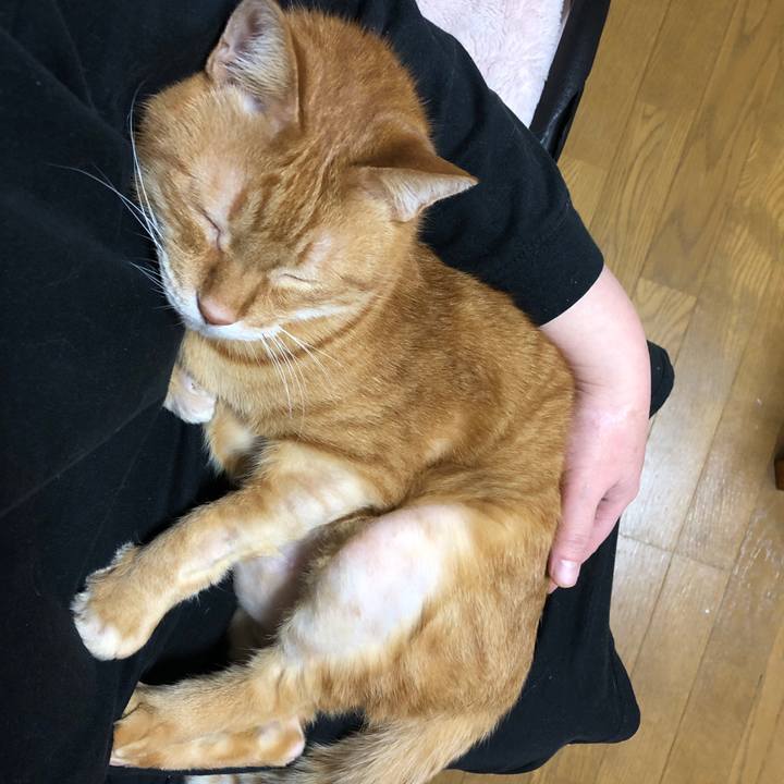 24187f94 7003 45e1 86af 9434342cd494 1702810517924