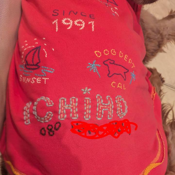 2418e355 d8ed 4323 a737 32e7b0929f19 1763978595749