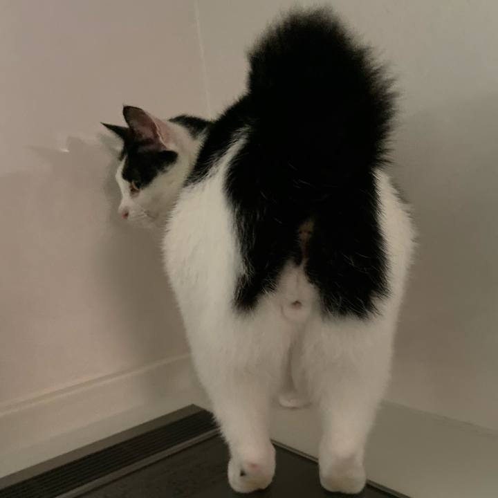 24192df9 c416 4b30 976d 0b832b44123a 1572768447231