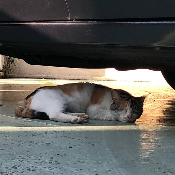 2419626e be85 44b6 b540 2bc220edbccc 1537432486929