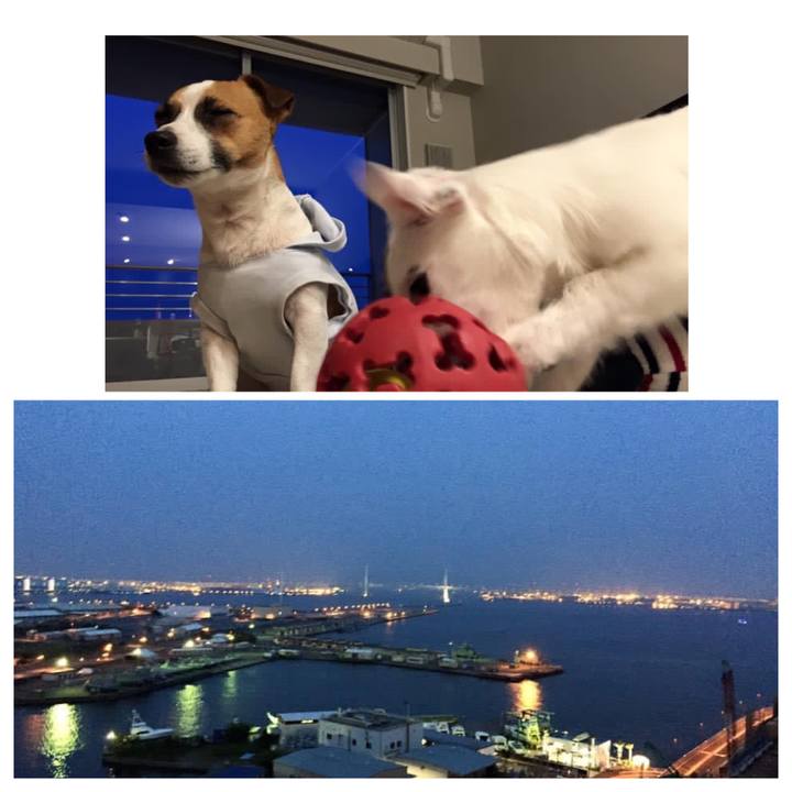 2419748a f862 46f9 9afc f585e7cbeef0 1650671611107