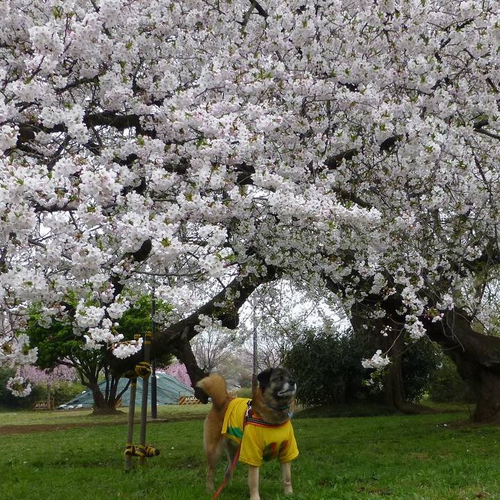 241980f7 8abc 4286 9a41 46d434bbef72 1712026426227