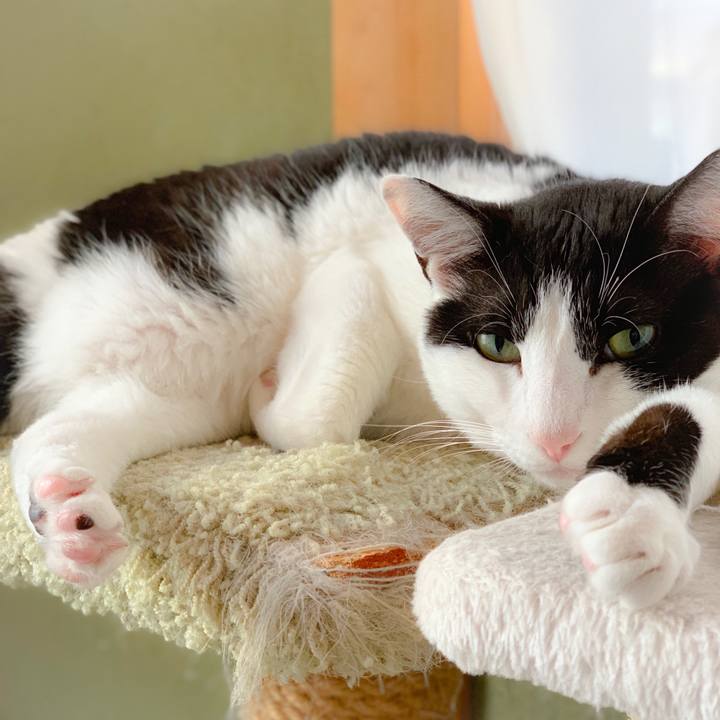 24199a38 dd92 4e54 aa51 00adfff9824a 1559612665802