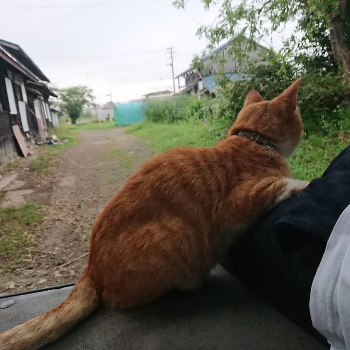 2419b330 80cb 48ab bda4 83064be97ec2 1596834619142