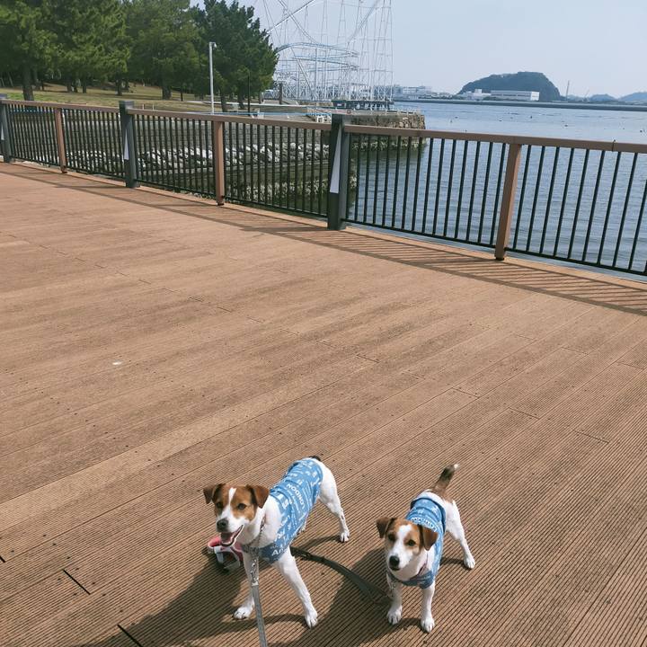 2419c5cb 6e6e 4acf 9d9e 7d84291c0958 1774164199611