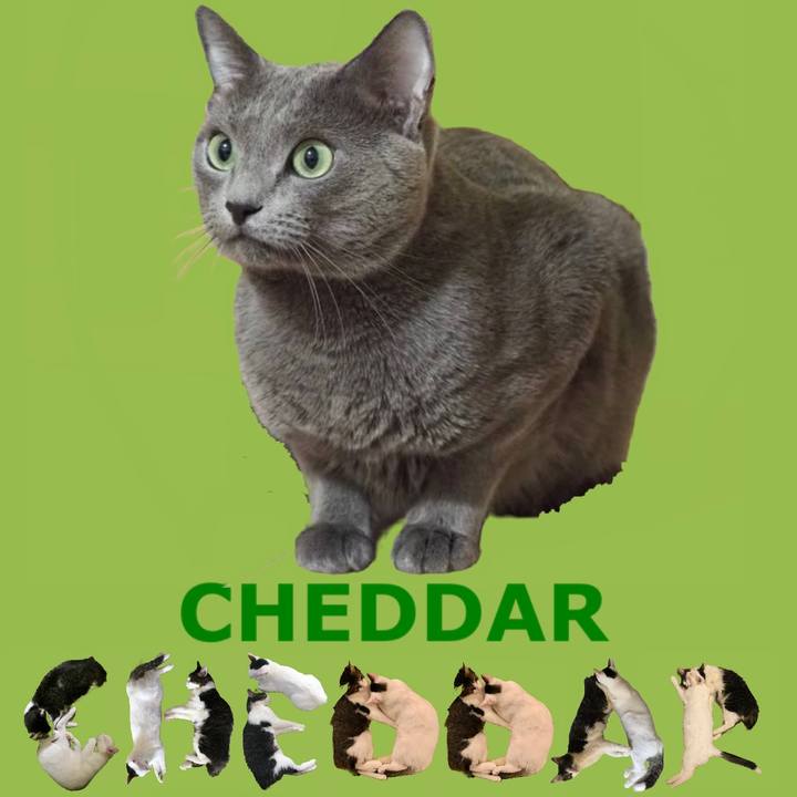 2419f6ad 5643 4686 983d 0c026263c313 1667608414429