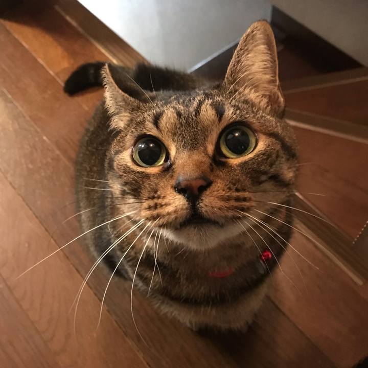 241a063b b0c9 4159 92f8 932a1fedb0cc 1613215215123