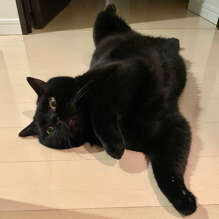 241a0dda 1f47 403c 9071 9eb7fa531cc4 1665237888359