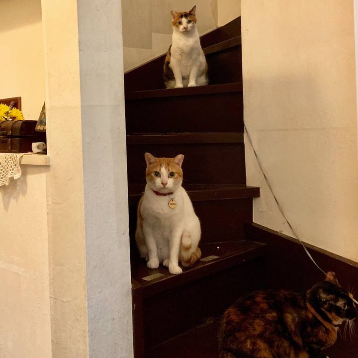 241a1aa3 52bb 4996 a21c 488c9a4d6af3 1575899908687