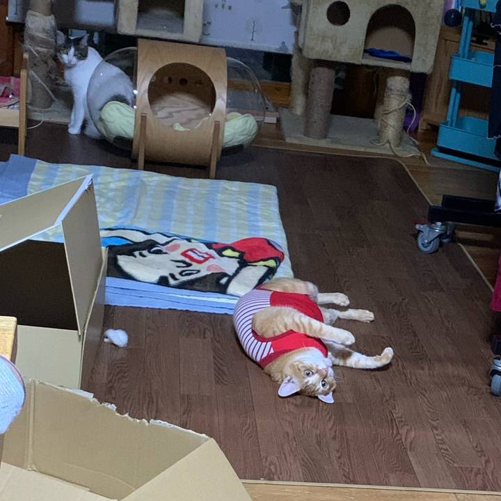 241a29d9 e982 478f 99ef 81496facc3b9 1594476045964