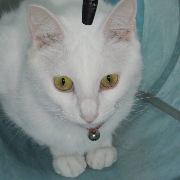 241a6b1d 7aac 4509 acc0 f7e294f6a693 1633399194091