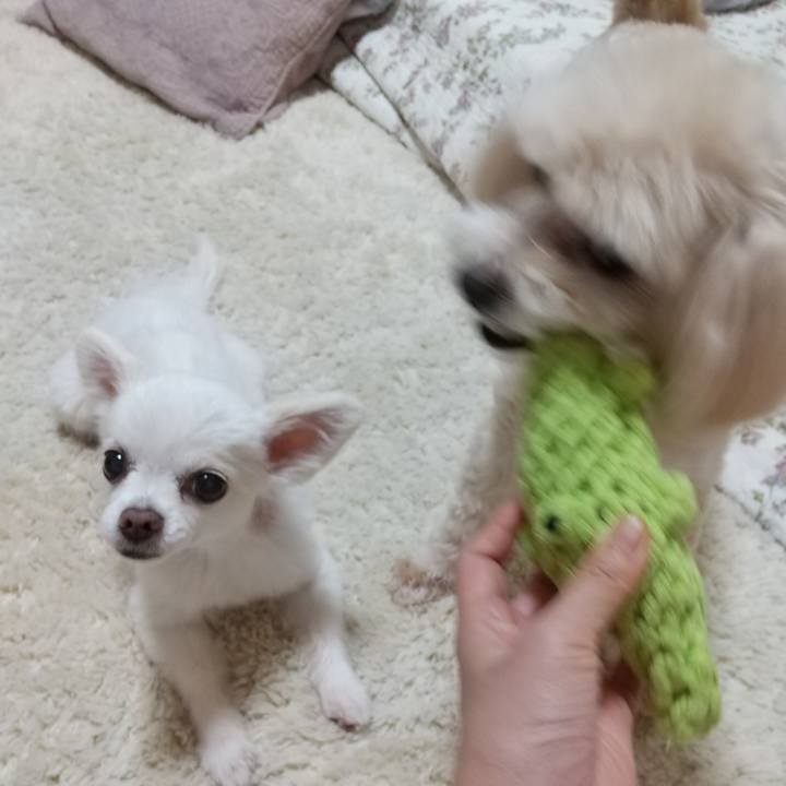 241a8b38 a14a 400a 8d54 4be4fee23b89 1592479545767