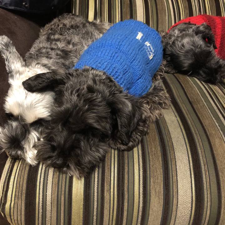 241aa9d7 238c 4ebe bee0 77bd537d9a64 1576669003435